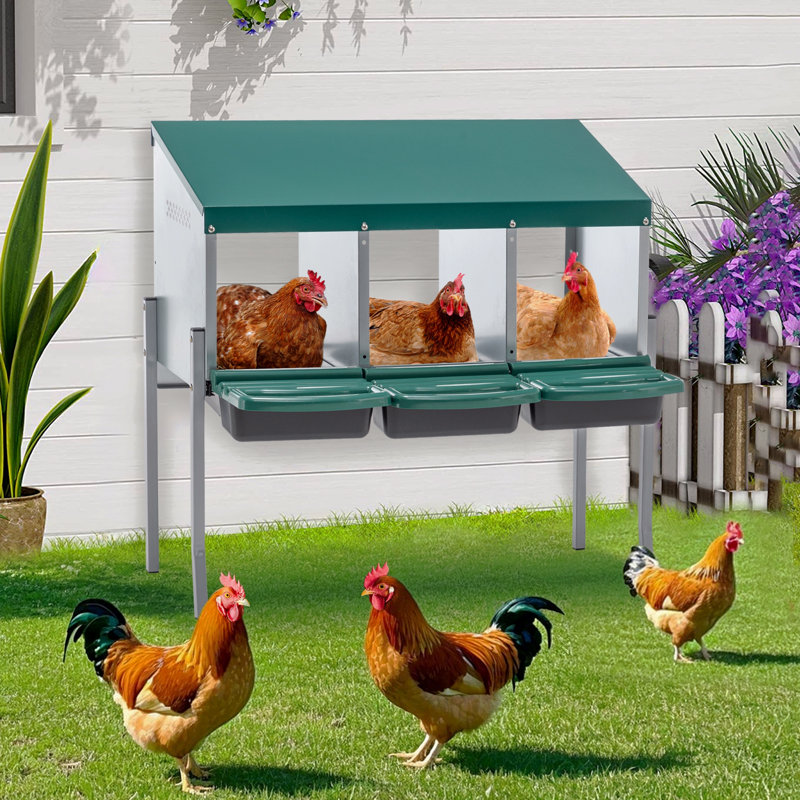 Boîtes de nidification pour poulets, boîtes de nidification de poulet à 3 trous avec pattes, boîte de ponte avec couvercle, pour poulailler extérieur, vert
