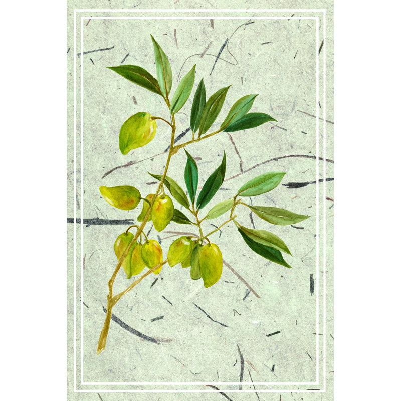 Olives On Textured Paper II - Wrapped Canvas Print, 46cm H x 30cm W x 3.8cm D