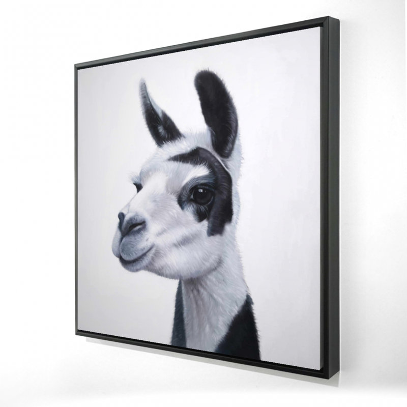 «Black & White Lama», H 24 po x l 24 po