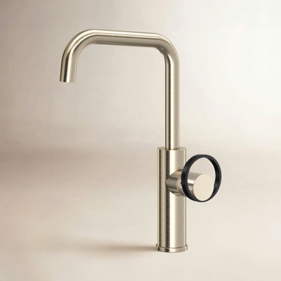 AllModern Linwood Kitchen Faucet Side Spray