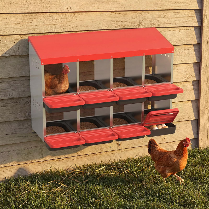Boîte de nidification à 8 trous pour poules roulantes, nid de volaille robuste en acier galvanisé avec couvercle, collecteur d'œufs facile à installer au mur, rouge