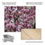 Sous le tulipier sur bois-443723246