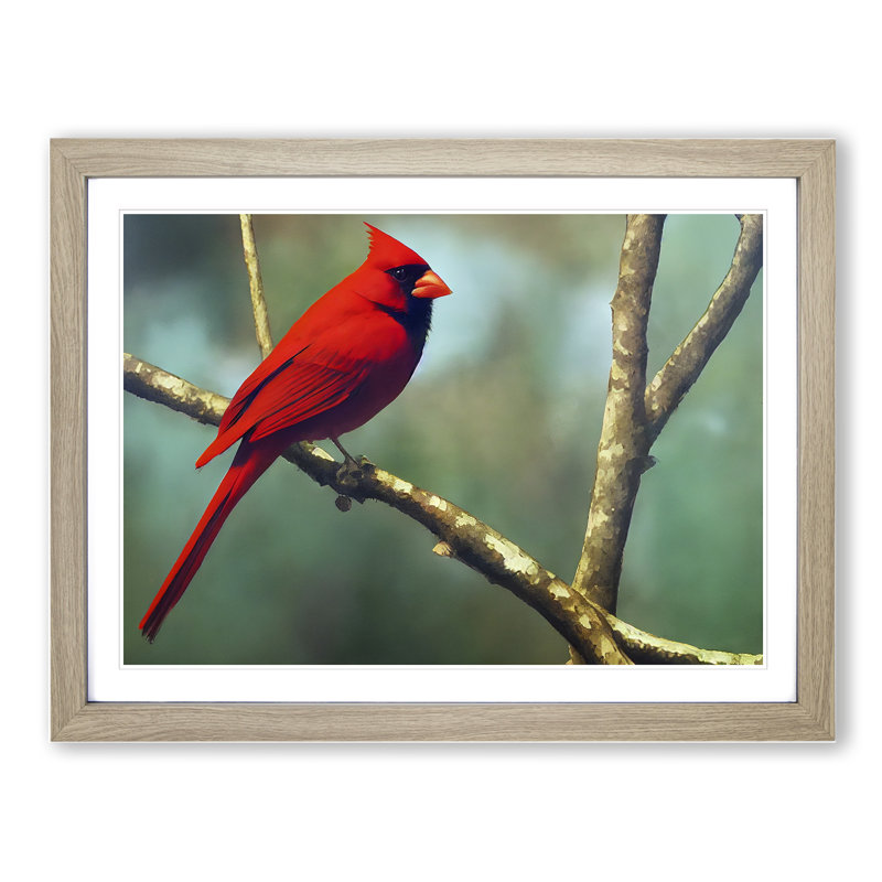 Cardinal Bird Vol.11 - Single Picture Frame Print, 46cm H x 64cm W x 2cm D, Oak Framed