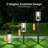Solar Pathway Lights Outdoor, IP65 Waterproof Solar Garden Lights, Auto On/off Outdoor Solar Lights ,Up To 13 Hours ,Cool White,6 Pack