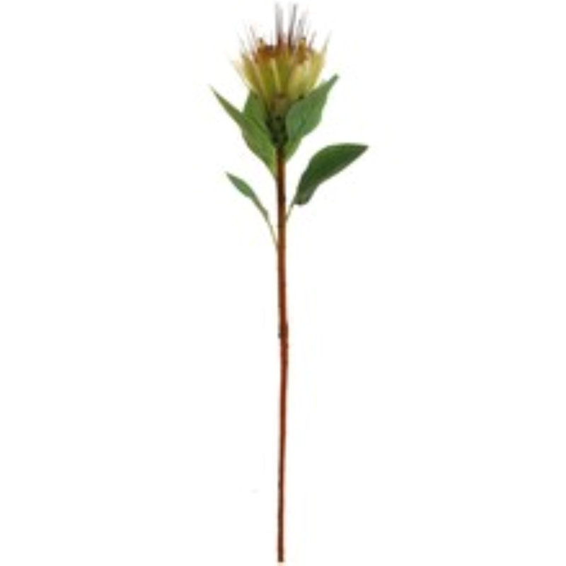 3pc 30" Light Yellow Royal Protea Spray