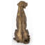 Animals Figurines & Sculptures