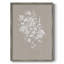 «Delicate Botanicals I», reproduction encadrée - bois massif 47997-739336790