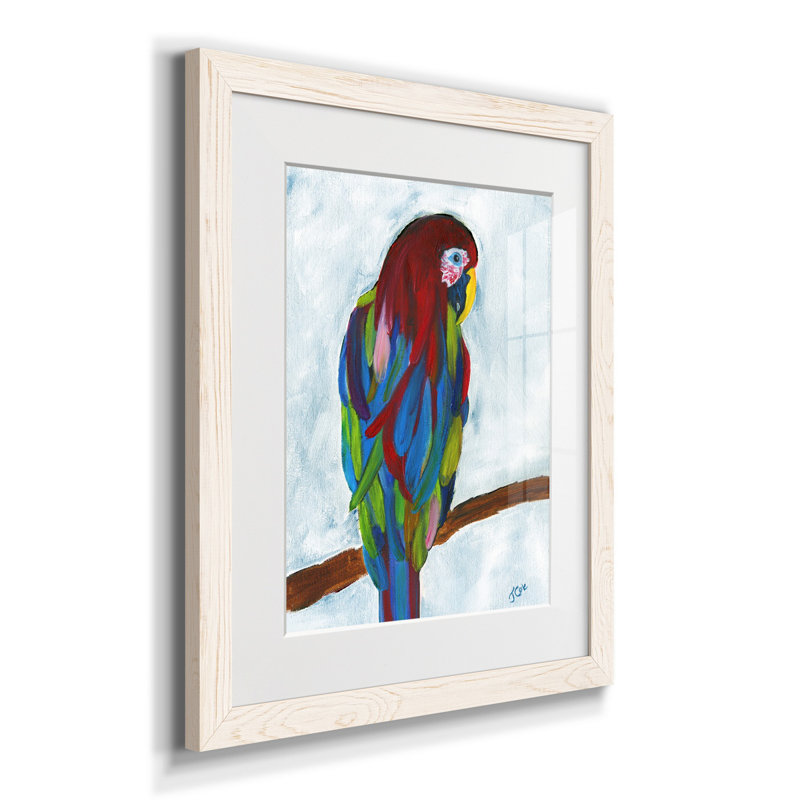 Perroquet tropical - cadre photo, reproduction d'art sur papier, Blanc, H 24 po x l 18 po x P 1,5 po