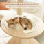 Arbre à chat transformable 57 po, tour à chat en bois moderne pour grands chats avec poteaux à griffer