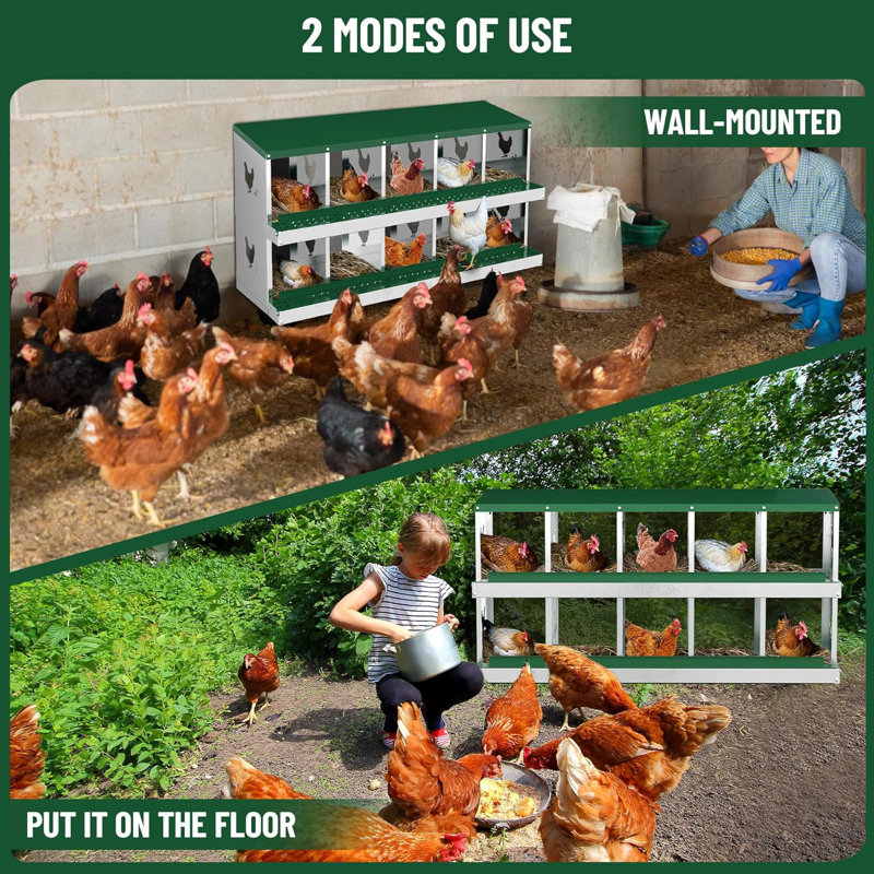 10 Compartments Metal Chicken Nesting Boxes, Nesting Boxes, Chicken Laying Box With Roll Out Egg Collection With Vented Holes