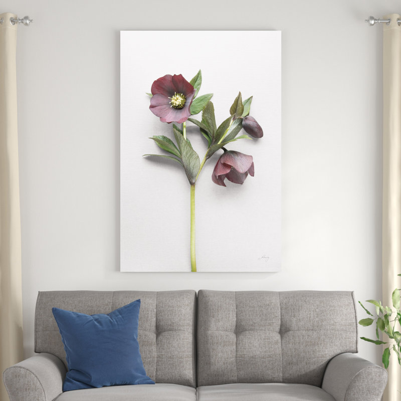 " Hellebore Study V " by Felicity Bradley, 48" H x 32" W x 1.25" D