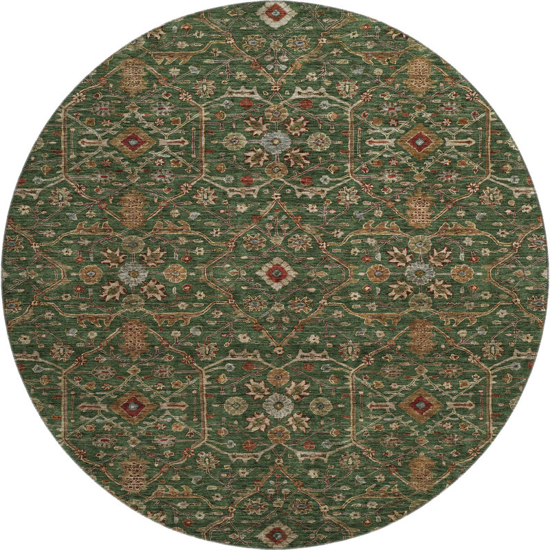 Premium Machine Washable Ducote AMF1130 Global Rug, Rond 8 pi