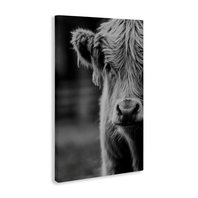 Toile de bébé vache, design par Amy Carroll, H 36 po x l 24 po