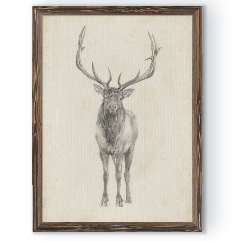 « elk study » par paul cezanne-photo-cadre, reproduction d’art, H 30 po x l 22 po x P 1,25 po, Cadre de toiles encadrées moka