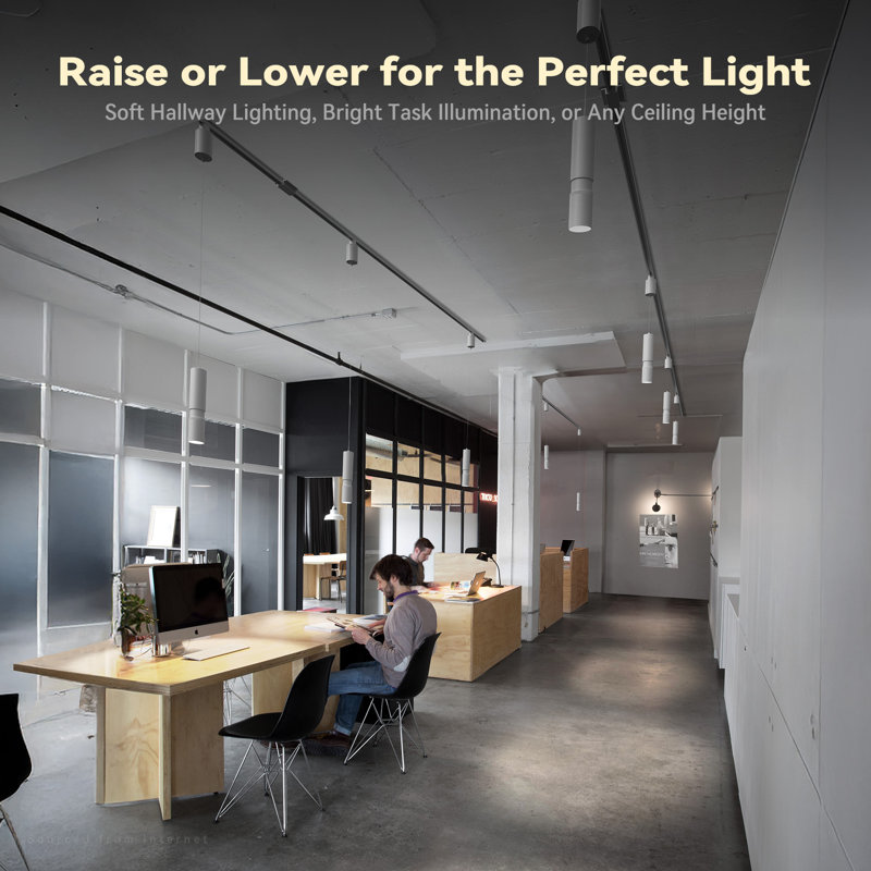 Vectis 10W Retractable LED Track Pendant, Zoomable H Track Spotlight with Adjustable Drop, White, White