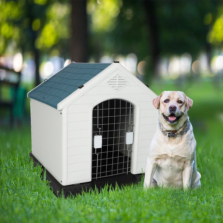 Is A Heated Insulated Dog House Necessary For Winter? - Dr. Marty Pets