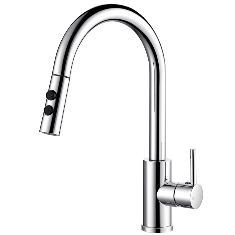 Metro Lane Daury Kitchen Faucet, Stainless Steel