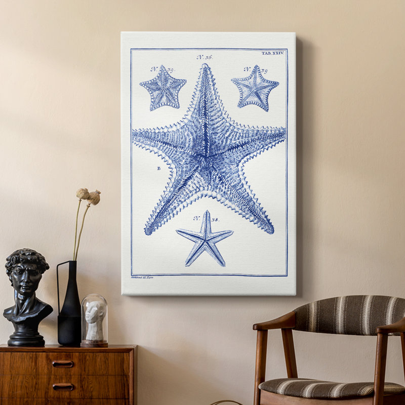 Étoiles de mer bleues - galerie Cavas personnalisée, H 27 po x l 18 po