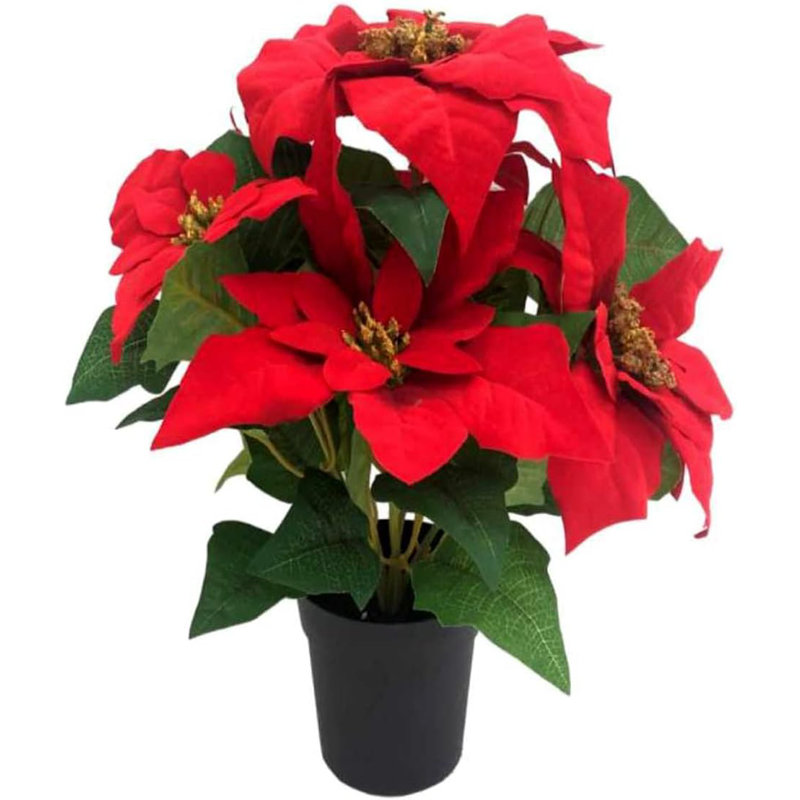 Poinsettia Arrangement, Red, 40cm x 25cm