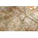 Koda Abstract Area Rug