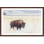 Parvez Taj - Single Picture Frame Print-19701405