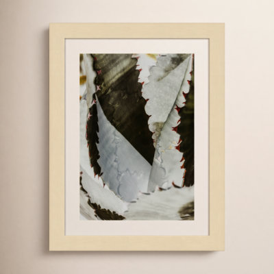 Daisey "Nova" Print by Shot by Clint