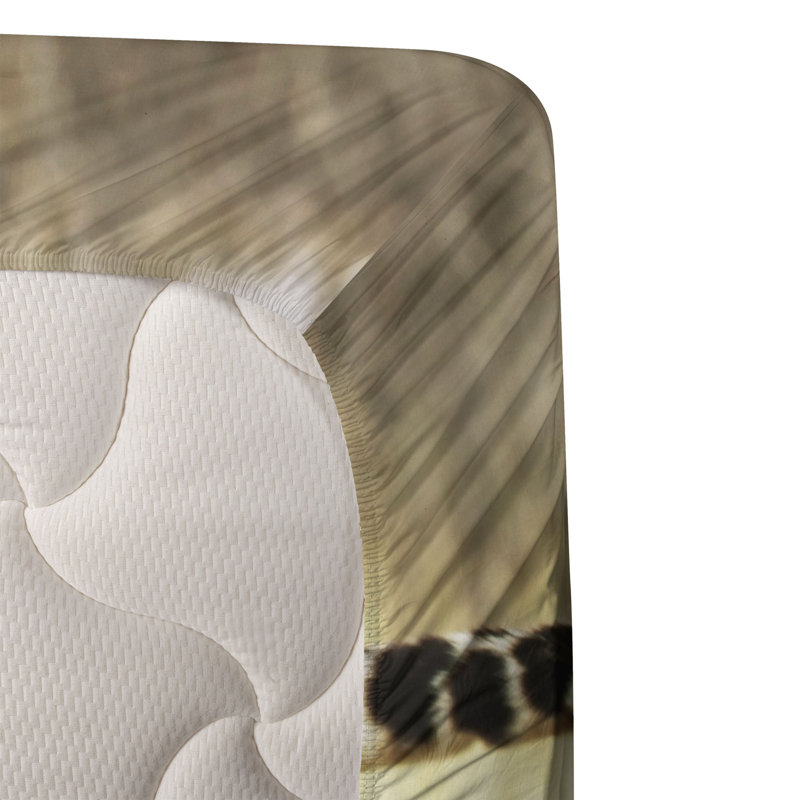 Microfiber Sheet Set, Full Sheet Set + Fitted Sheet + 2 Pillowcases