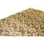 Hand Knotted Area Rug in Fawn