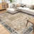 Nainika Bev Distressed Machine Washable Area Rug-685824382-717926312