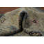 Tapis de couloir Oushak