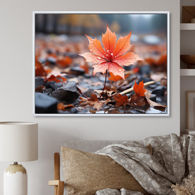 " Coral Flower Autumn Radiance I "
