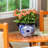 Talavera Mini Jug Ceramic Planter, Set of 2