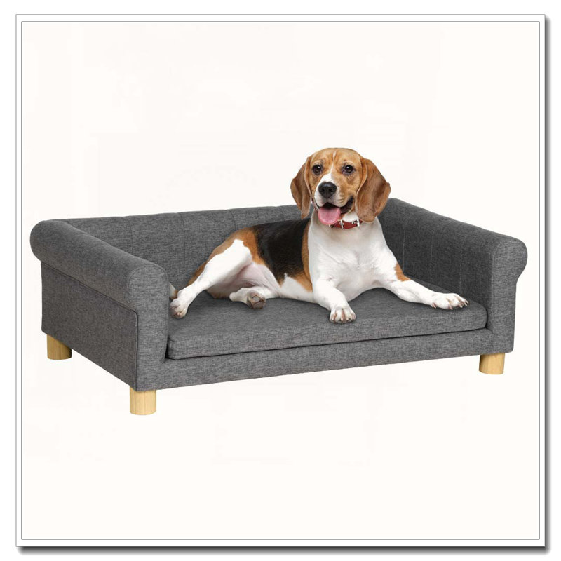 Canapé moderne pour chien, canapé pour chien de taille moyenne à grande