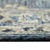 Dovenson Oriental Indoor Rug