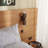 JENSEN Double Wall Sconce-114719611