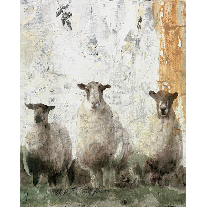 Toile tendue avec châssis Rosalind Wheeler Stellar Design Studio, titrée: Three Sheep