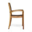 Outdoor Dining Chairs-875881988
