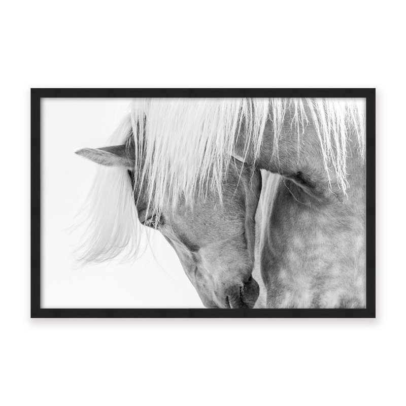 Nature Inspired Halflinger Portrait by  - Picture Frame Photograph on Paper, 24" H x 36" W x 1.125" D, Black