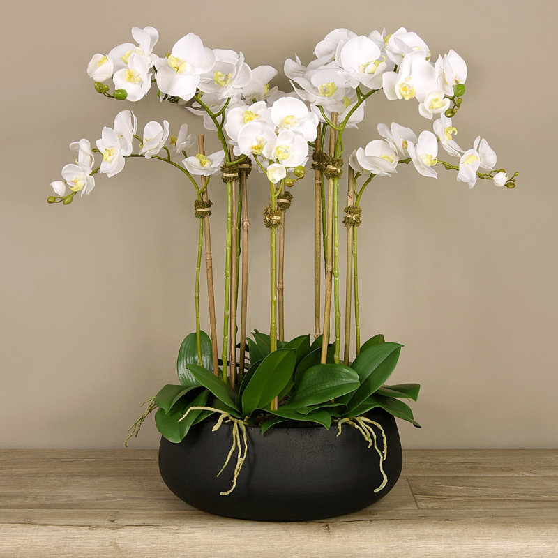 Orchid Floral Arrangement in Planter, White, 29" x 22", Black