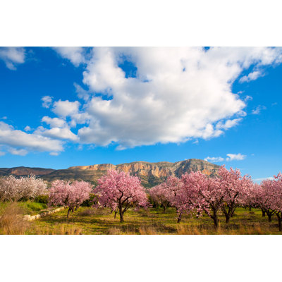 Gallaher Almond Tree Flowers by LUNAMARINA - Wrapped Canvas Print