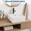 Blue Elephant Chrome Ceramic Sink-1119873610