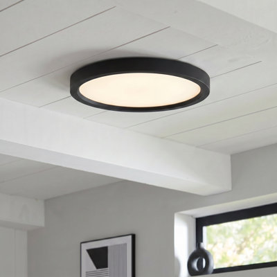 Outskirts Acrylic LED Flush Mount