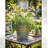Hosley Set of 3 Zinc Finish Bucket/Pots with PVC Liner 5" Dia x 5" H, Ideal Gift for Floral Arrangements Wedding Home Office Party DIY Indoor Outdoor Garden Patio-939805906-939805905