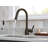 Adler Pull Down Single Handle Kitchen Faucet with Accessories-48057842