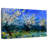 Apple Trees In Spring