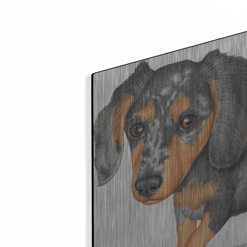 «Dappled Dachshund Walking» par Danny Gordon, H 12 po x l 16 po