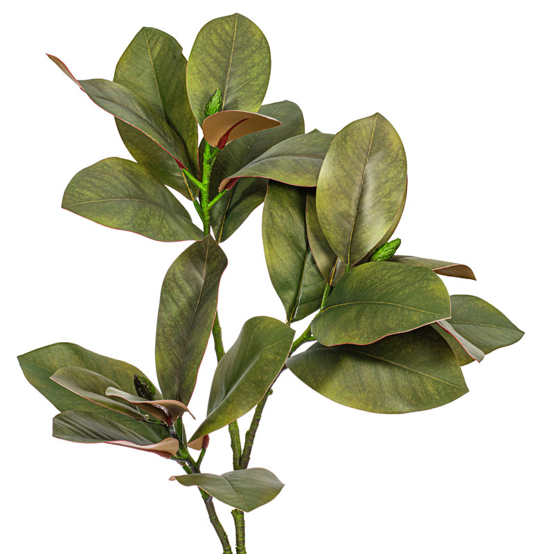 35" Artificial Green Magnolia Branch 2/Bag.