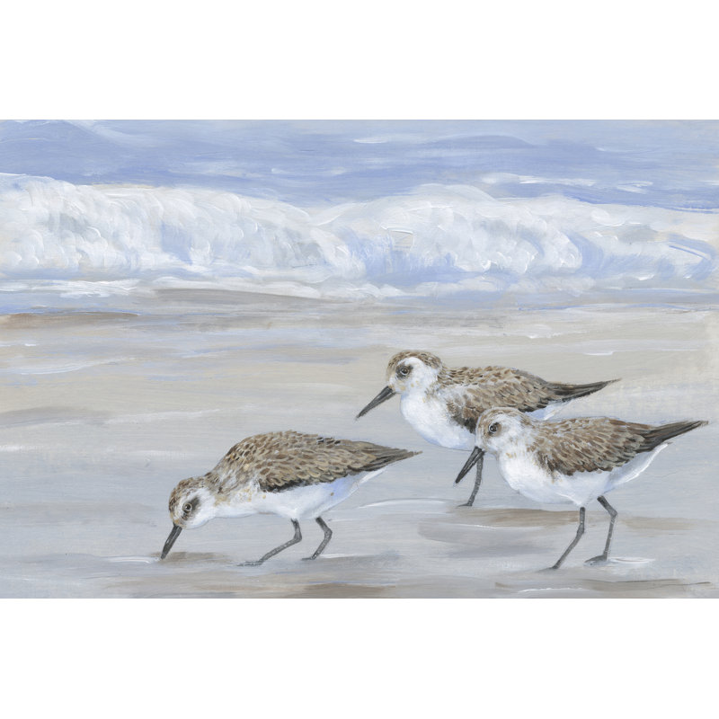 Sandpipers II - Painting, 81 cm H x 122 cm W, Black Floater Frame