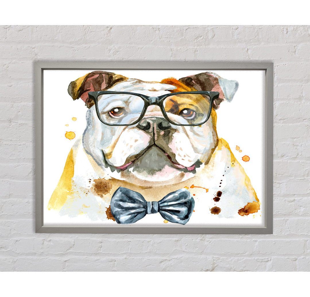 Die Bulldogge mit Brille - Einzelbildrahmen auf Leinwand drucken