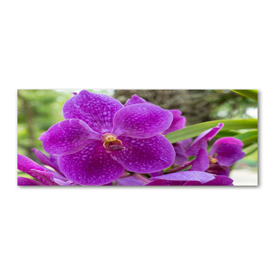 Orchid - No Frame Print on Canvas
